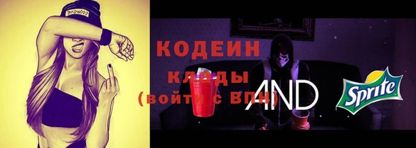 spice Богородск