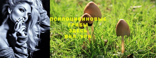spice Богородск