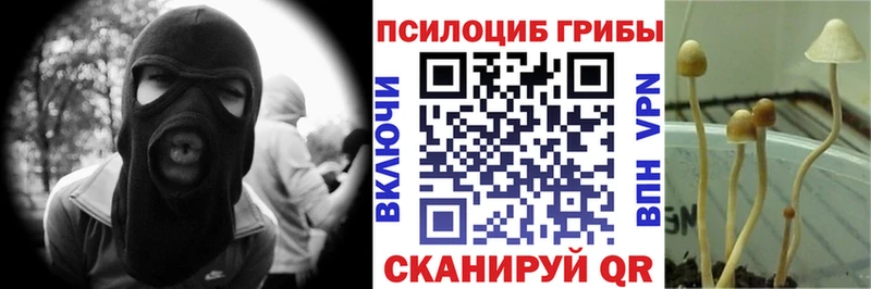 Галлюциногенные грибы GOLDEN TEACHER  маркетплейс состав  Бобров  купить наркотик 